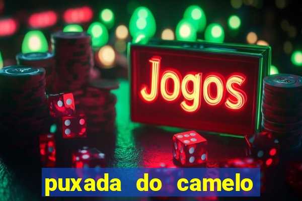 puxada do camelo no jogo do bicho